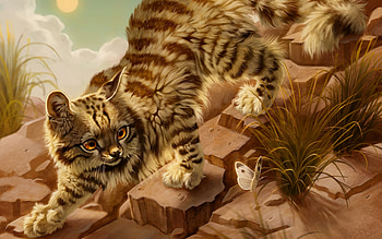 Chasing butterflies, frumusete, fantasy, butterfly, art, pisici, gorgeous, cat, amelia bothe, superb HD wallpaper