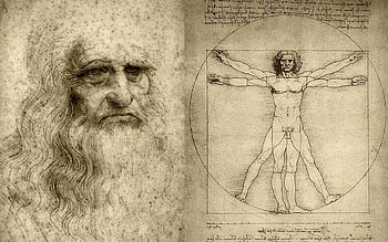 Leonardo da Vinci, Celebs, Vitruvian Man, Proportional beauty HD wallpaper