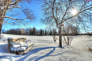 Sunny Winter Day, Winter, Nature, Sun, Snow HD wallpaper