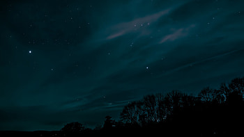Preview night, sky, stars, trees HD wallpaper