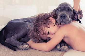 RESTING, TOGETHER, KID, DOG HD wallpaper
