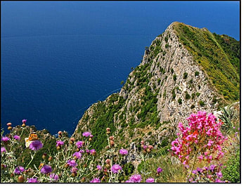 Mountain, nature, flowers HD wallpaper