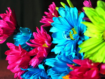Bright Colorful Flowers, blue, colorful, Green, pink, Beautiful, petals, bright, Flowers, nature HD wallpaper