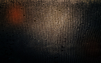 Background, Texture, Textures, Shadow, Snake, Leather, Skin HD wallpaper