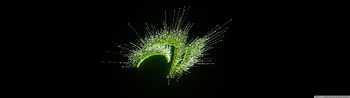 NVIDIA Jubilee Full [] - full . HD wallpaper