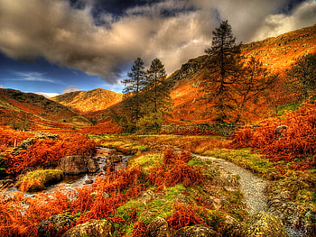 On the mountain slope, slope, fall, colors, beautiful, mountain, red, clouds, view, autumn, nature, sky HD wallpaper