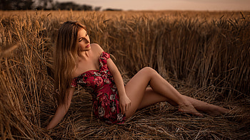 Women Long Hair Brunette Sitting Field , women, brunette, girls, model HD wallpaper