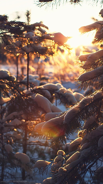 Winter Aesthetic, Snowfall HD phone wallpaper