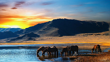 Mongolia, , Stunning backgrounds, Computer HD wallpaper