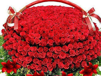 Basket of roses, tenderness, bouquet, roses, soft, beautiful, gift, beauty, basket, leaves, petals, green, red, red roses HD wallpaper
