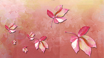 Autumn Rose, rose, leaves, abstract, fall, autumn, Firefox Persona theme HD wallpaper