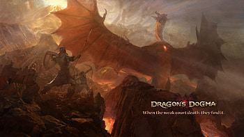 Dragon's Dogma Epic Battle, video game HD wallpaper