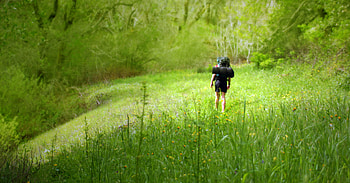 Hiker, fun, other, nature, grass, people HD wallpaper