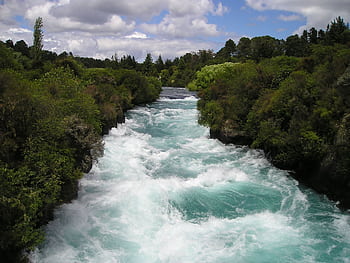 Vibrant and powerful river rapids flowing through lush green forest in a natural landscape. HD wallpaper