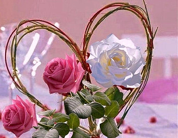 From the Heart - for Andonia , still life, roses, flowers, friendship, heart HD wallpaper