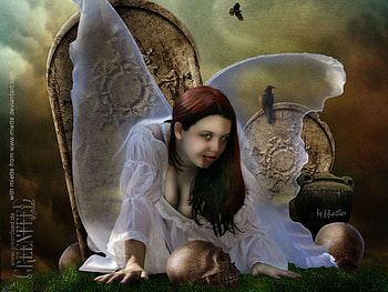the angel, angel, blood HD wallpaper