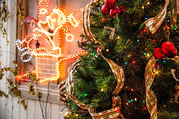 A beautifully decorated Christmas tree with lights and ornaments, capturing holiday spirit indoors. HD wallpaper