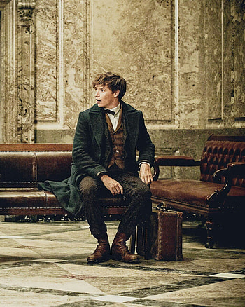 Newt Scamander, Magic, Fantasy HD phone wallpaper