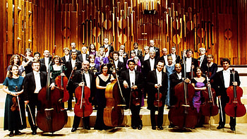 Musical ensemble, Concertmaster, Wallup orchestra, Academy of St Martin, Wall of sound HD wallpaper