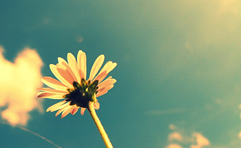 Beautiful Summer for computers and laptops screensavers HD wallpaper