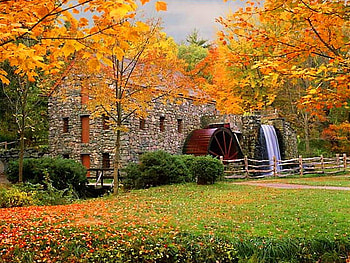 Mill, leaves, fall, trees, autumn, watermill, forest HD wallpaper