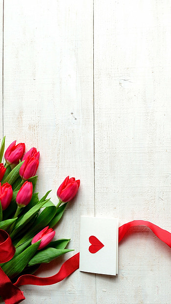 Tulips, Valentine's Day HD phone wallpaper