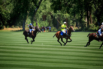 History of polo, Denver Polo Club, Rich equestrian heritage, Classic sport HD wallpaper