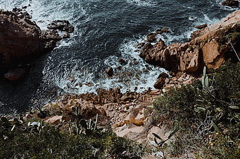 Nature, Cactuses, Stones, Sea, Rocks, Surf HD wallpaper