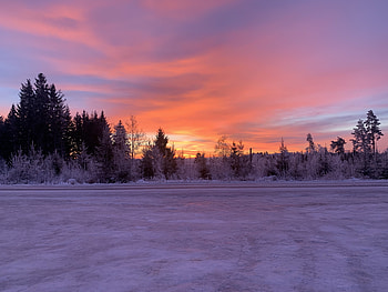 Winter, Nature, Trees, Sky, Snow, Dawn, Horizon, Sunrise, Rise, Snow Covered, Snowbound HD wallpaper