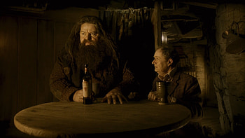 Half-Blood Prince, Rubeus Hagrid, , Background HD wallpaper