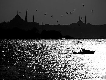Istanbul's silhouette, sea, boat, istanbul, mosque, nature, silhouette HD wallpaper