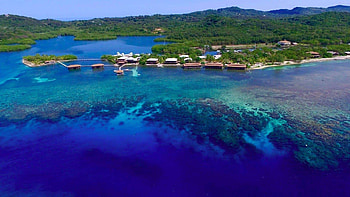 Snorkel tour, Underwater exploration, Shipwreck adventure, Discover Roatn HD wallpaper