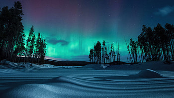 Chasing The Northern Lights, nature, northern-lights, trees, mountains, snow, stars HD wallpaper