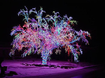 A thousands christmas lights, lights, christmas, decorations, decor, sparkles, nice HD wallpaper