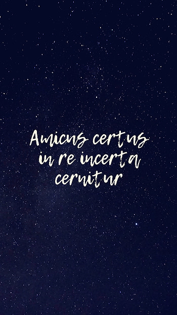 Friendship, Words, Inscription, Friends, Wisdom, Proverb HD phone wallpaper