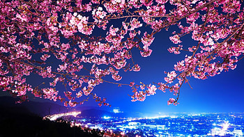 Japan , Stunning visuals, High-definition , Mesmerizing beauty HD wallpaper