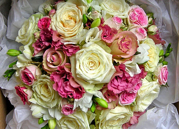 Flowers, Roses, Registration, Typography, Bouquet, Handsomely, It's Beautiful HD wallpaper