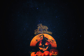 Holidays, Halloween, Autumn, Pumpkin, Cat, Holiday HD wallpaper