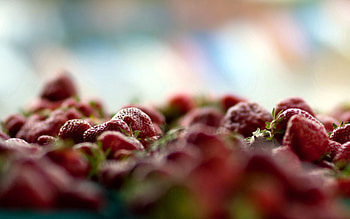 Strawberry, Macro, Sweet, Berry HD wallpaper