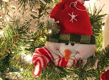 Holidays, New Year, Snowman, Christmas, Holiday, Smile, Needles, Christmas Tree HD wallpaper