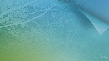 Turning the Page to Spring, blue, shadow, abstract, blossoms, green, sakura, trees HD wallpaper