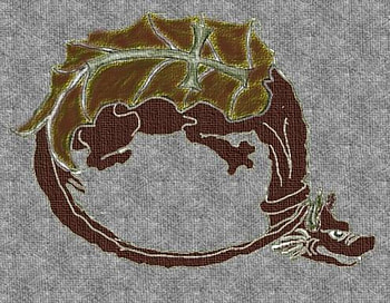 THE ORDER OF THE DRAGON, action, symbols, graphy, usa HD wallpaper