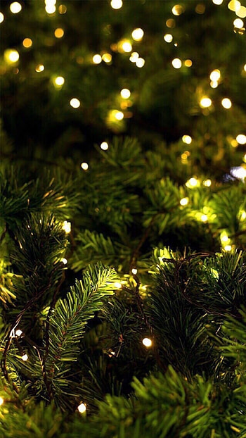 Happy New Year, Green, Tree HD phone wallpaper
