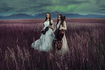 Field of Elegance, cellos, field, dresses, women, elegance, instruments HD wallpaper