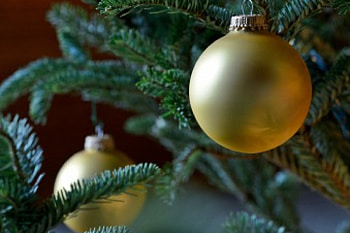 Tis the season, christmas graphy, christmas ornaments, christmas tree HD wallpaper