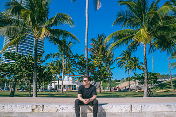 Miami, Hardwell HD wallpaper