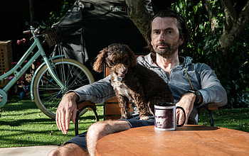 David Tennant films, Celebrity Pets HD wallpaper