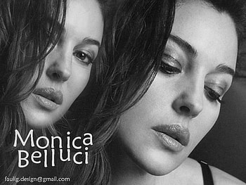 monica belluci, actress, woman HD wallpaper