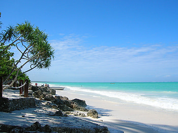 Zanzibar island background, Tropical paradise, , Serene beauty HD wallpaper