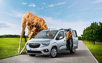 Giraffe, holiday, funny, car HD wallpaper